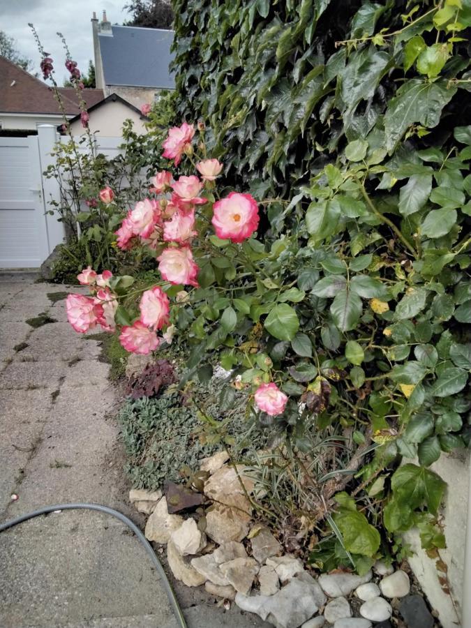 Hortensias Asnelles Ngoại thất bức ảnh